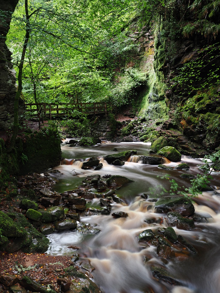 Big Burn Walk on NC 500